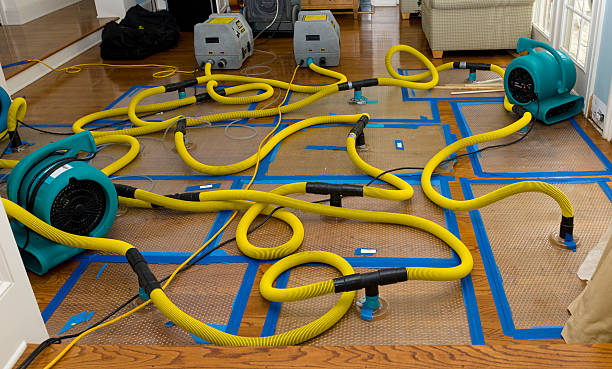Professional Storm Water Damage Restoration technician working in White Hall, AR